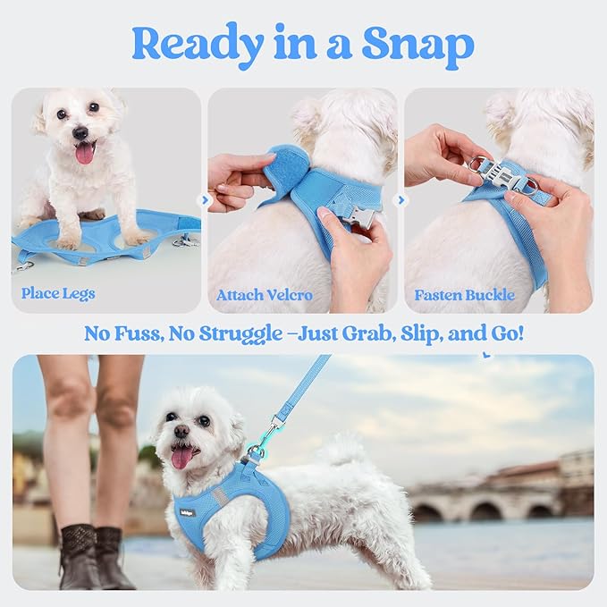 rabbitgoo Dog Harness Small Sized and Leash Set, Step in Soft Light Puppy Vest, Breathable Mesh Pet Harness, Reflective for Safe Easy Walking, Blue S