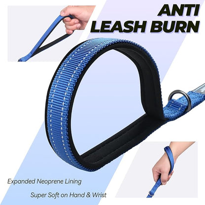 VIVAGLORY Dog Leash Twingrip Double Handle Dog Leash with Traffic Handle Control & 2 Loop for Walking & Training, Reflective Heavy Duty for Puppy Pet Collar, 5ft x 1/2in, Blue