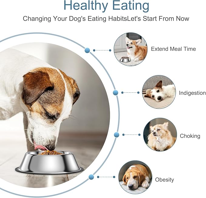 2-in-1 Metal Dog Bowl with Slow Feeder Insert, Food Grade 304 Slow Feeder Dog Bowls, Non-Slip Bottom, Pet Slower Food Feeding Bowls for Increases Feeding Time, Reduces Digestive Problems (L)