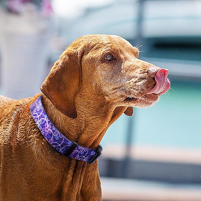 QQPETS Adjustable Soft Dog Collar: Print Flower Pink Multicolor Cute Patterns for XS Small Medium Large Pet Girl Boy Puppy Walking Running Training