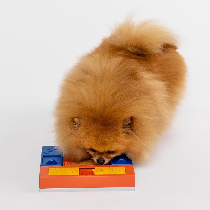 Dog Puzzle Level 1 – Beginner Interactive Dog Toy for Puppy Enrichment and Mental Stimulation – Modular Treat Dispensing Puzzle for Small to Large Dogs – Beginner Set