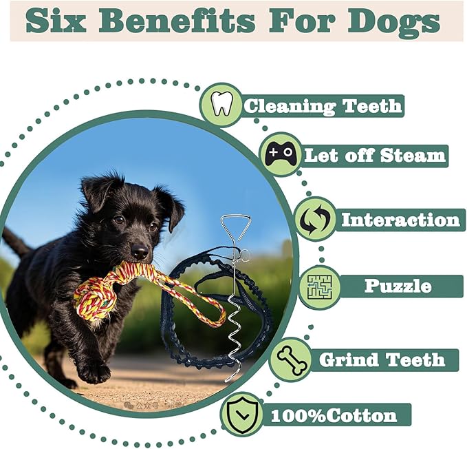 Dog Bungee Tug Toy for Large/Medium/Small Dogs, Dog tug of war Toy with Stake,Outdoor Interactive Toys Can Be Used on Lawns or Trees