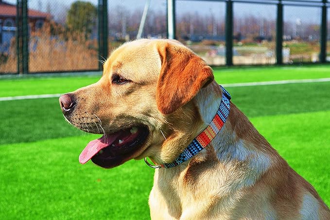 Dog Collar with Bohemia Floral Tribal Geometric Patterns - Soft Ethnic Style Collar Adjustable for Small Medium Large Dogs(Bohemian Orange,S)