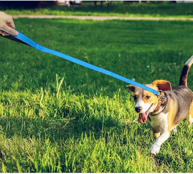 FunTags 4FT Reflective Dog Leash with Soft Padded Handle for Training,Walking Lead for Medium & Small Dogs,3/4 Inch Wide,SkyBlue
