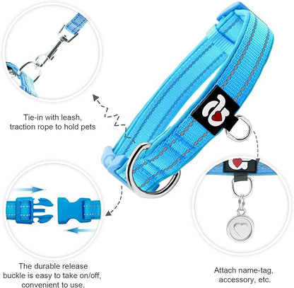 azuza Reflective Dog Collar,Soft Neoprene Padded Pet Collar with ID Tag Ring,Adjustable for Large Dogs,Sky Blue,L