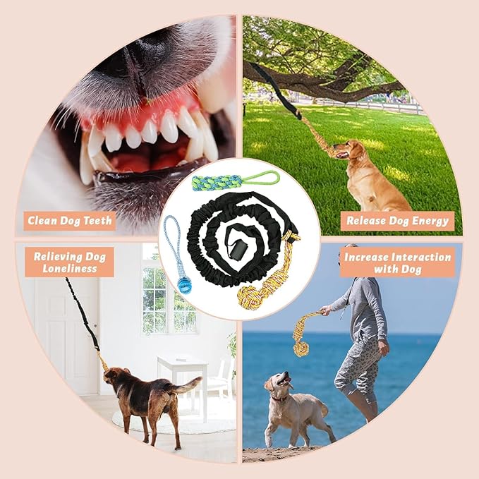 Dog Bungee Toy,Interactive Pull Toy for Self Play,Indoor Flirt Pole Hang Frame, Tether tug Outdoor Dog Toy for Yard Tree, with 3 Pieces Play Chew Rope Gift for Puppy Small Medium Dogs