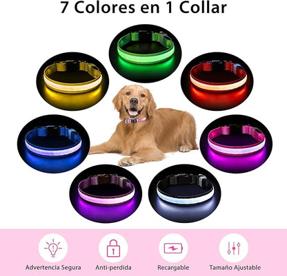 PcEoTllar Light up Dog Collar for Night Walking - LED Dog Collar Light Rechargeable Color Changing, Glow in the Dark Dog Collars Waterproof Glowing Dog Collars for Large Small Medium Dogs