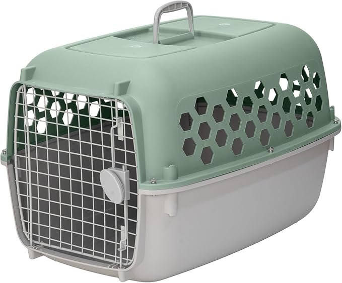 26" Plastic Portable Dog Kennel, Green – Lightweight Travel Crate for Medium Dogs Cat, Durable & Ventilated, Indoor/Outdoor Use