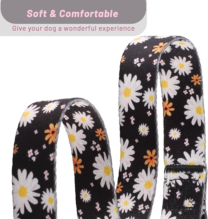 QQPETS Adjustable Soft Dog Collar: Print Flower Pink Multicolor Cute Patterns for XS Small Medium Large Pet Girl Boy Puppy Walking Running Training (S, White Daisy)