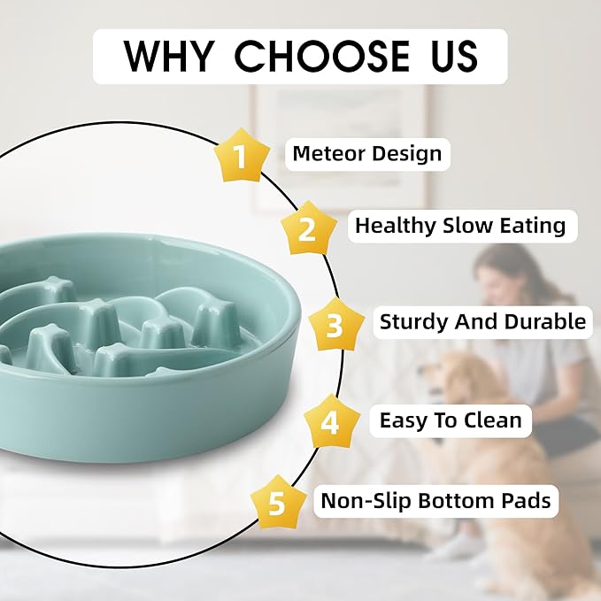 Ceramic Slow Feeder Dog Bowls Large Breed, 2 Cups Slow Eating Dog Bowl, Anti-Gulping Pet Food Bowl Reduce Choking, Heavy Puzzle Maze Design Pet Dishes for Fast Eaters, 8.3 inch - Light Green