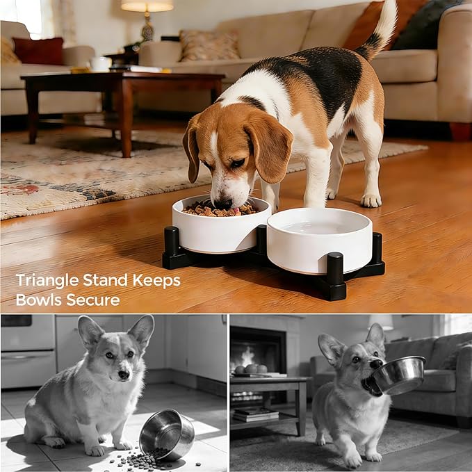 Ceramic Dog Bowl and Cat Bowls Set with 15° Adjustable Wood Stand, Non-Slip Weighted Pet Food and Water Bowls, Dual Raised Feeder for Small Dogs, Matte Glaze Pet Dish 13.5oz Set of 2 (Ceramic White)
