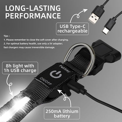LED Dog Collar for XSmall Dogs & Toy Breeds – USB-C Rechargeable Light Up Dog Collar, Fully Waterproof Adjustable Glow Collar for Night Walking & Safety(White,XS)