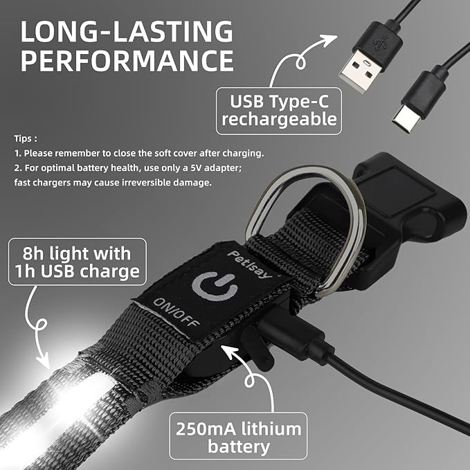 Super Bright LED Dog Collar - Fully Waterproof & Adjustable Glow Collar - USB-C Rechargeable for Night Walking, Safety - Flashing Lighted Collar for Dogs(White,Small)