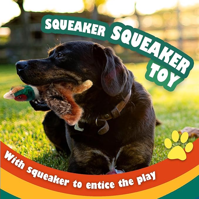 ALL FOR PAWS Squeaky Doy Toy, Pheasant Dog Toy for Small Medium Breed, Puppy Fetch Toy with Squeaker, Plush Chew Dog Toy, 9.8 x 9.8 x 2 inches, Classic-Pheasant S
