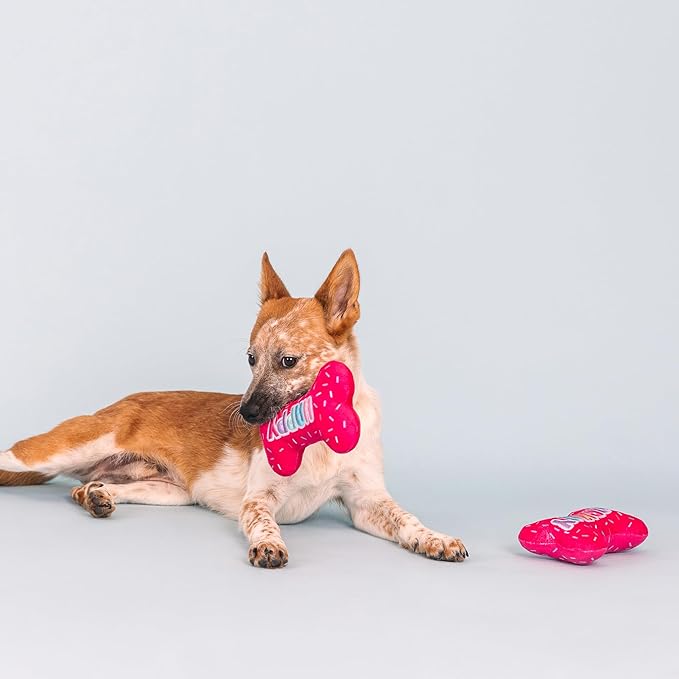 Fringe Studio Plush Dog Toy, It's My Barkday, Pet Shop Collection (314226)