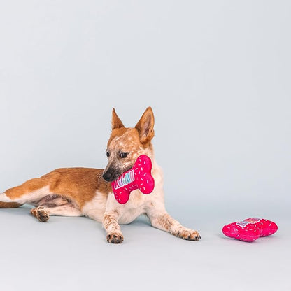 Fringe Studio Plush Dog Toy, It's My Barkday, Pet Shop Collection (314226)