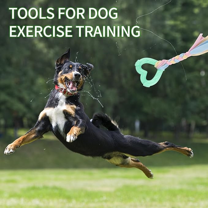 4 PCS Puppy Chew Toys for Teething Small Breed, Puppy Teething Ring, Soft Rubber Durable Dog Teething Toys, Rope Dog Toys, Funny Interactive Toy, Puppy Toys for Small Puppies, Dog Toys Set (Style 12)