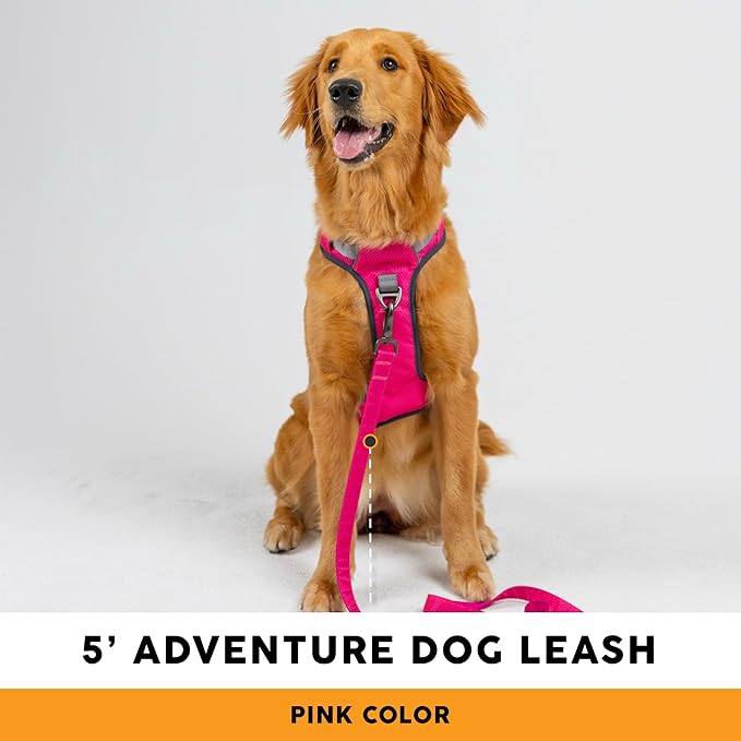 Embark Adventure Dog Leash – Strong & Sturdy for Small, Medium & Large Dogs, Colorful (Pink, 5 Ft)