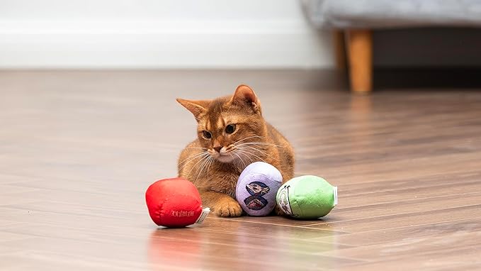 Beetlejuice Catnip Jingle Balls Cat Toy, 3 Pack Featuring Beetlejuice, Lydia, Barbara and Adam