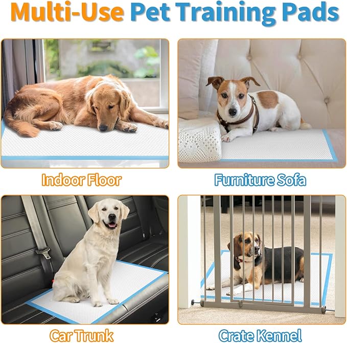 Bolux Dog and Puppy Training Pads， Disposable Dog Pee Pads (40, 23.5"*23.5"(60*60cm))