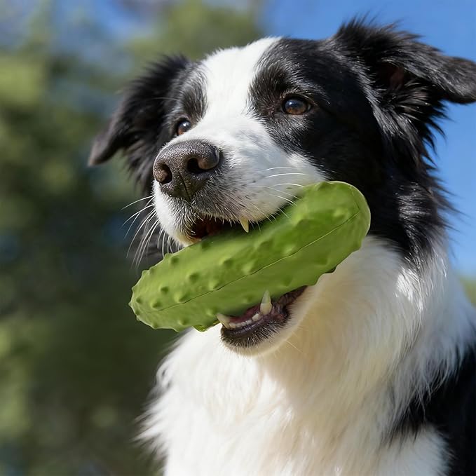 Tough Squeaky Dog Toys, Durable Dog Chew Toy with Natural Rubber, Teething Toys for Medium Large Breeds, Cucumber Pickle Shape