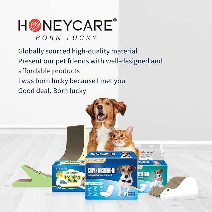 HONEY CARE All-Absorb 20 Count Cat Litter Pads, 17.1 by 11.8-Inch