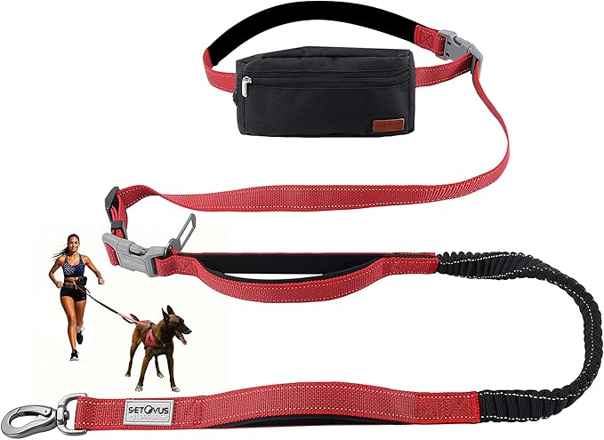 Hands Free Dog Leash with Zipper Pouch, Double Handle Running Reflective Bungee Waist Leash for Dog Walking, Training and Hiking for Small Medium Large Dogs (Red)