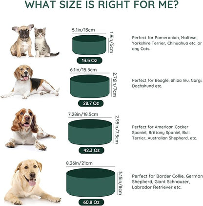 SPUNKYJUNKY 42OZ Ceramic Dog and Cat Bowl, Modern Cute Weighted Food Water Bowl for Replacement Green (1 Pack)