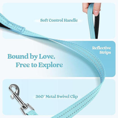 rabbitgoo Dog Harness Small Sized and Leash Set, Step in Soft Light Puppy Vest, Breathable Mesh Pet Harness, Reflective for Safe Easy Walking, Mint Blue M