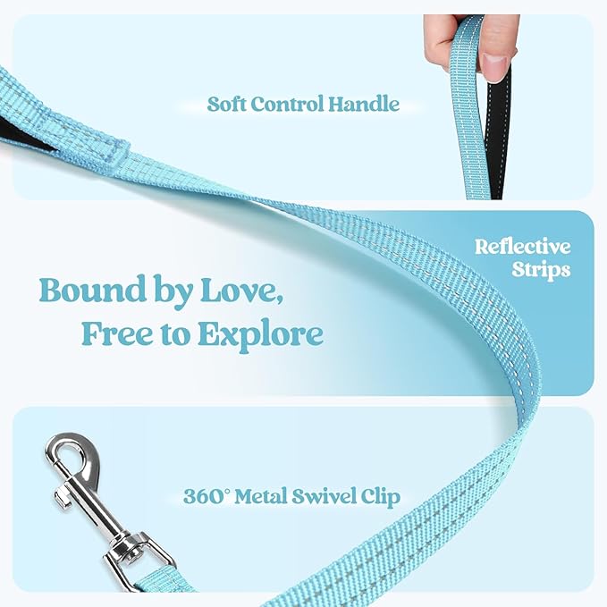 rabbitgoo Dog Harness Small Sized and Leash Set, Step in Soft Light Puppy Vest, Breathable Mesh Pet Harness, Reflective for Safe Easy Walking, Mint Blue XXS