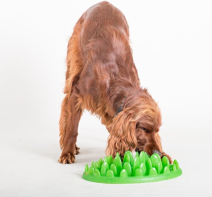 Company of Animals GREEN Slow Interactive Feeder for Dogs, Size Large, Best Fun Slow Feeder Dog Bowl, Anti-Gulp, Gobble Stopper, Mental Stimulation Dog Puzzle, Suitable for Small, Medium & Large Dogs