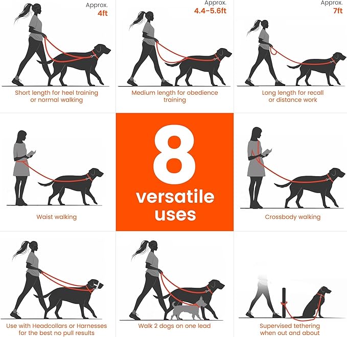 HOWGO Hands Free Dog Leash with Padded Handle,Multifunctional Crossbody Waist Leash for Walking Running Jogging Training,7.5 FT Nylon Adjustable Length for All Breeds(Black, Standard)
