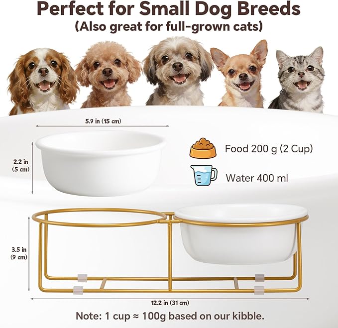 Elevated Dog Bowls for Food and Water - Double Ceramic Bowls with Metal Stand - Pet Feeding Set for Small Dogs and Cats - Each Holds 400ml / 2 Cups (Approx. 200g) - White