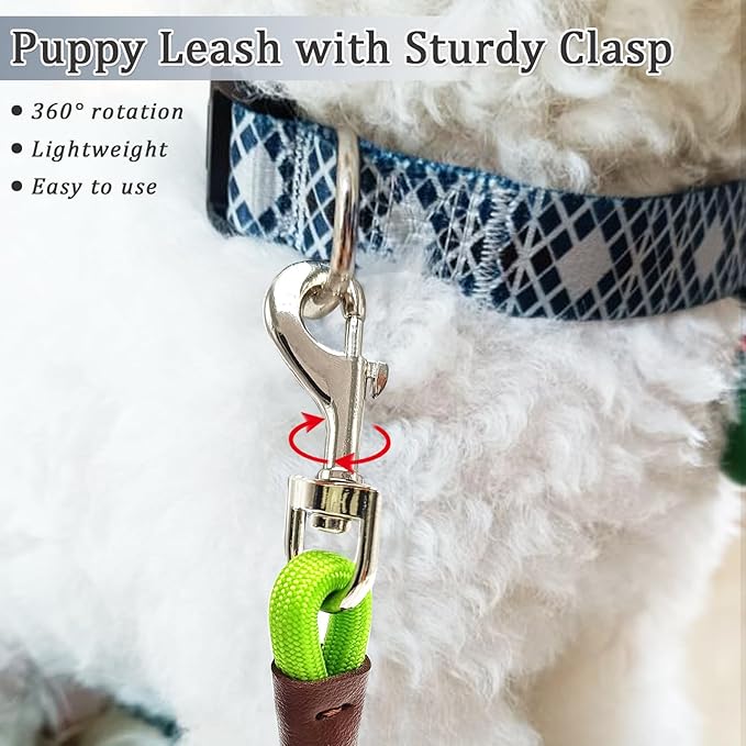 WYuZe 5ft Puppy/Dog Leash for Small Dogs, 1/4" Thin Rope Dog Leash with Easy to Use Hook, Lightweight Pet Leashes for Chihuahua/Yorkie/Tiny Breed/Cats, 10+ Colors, Green