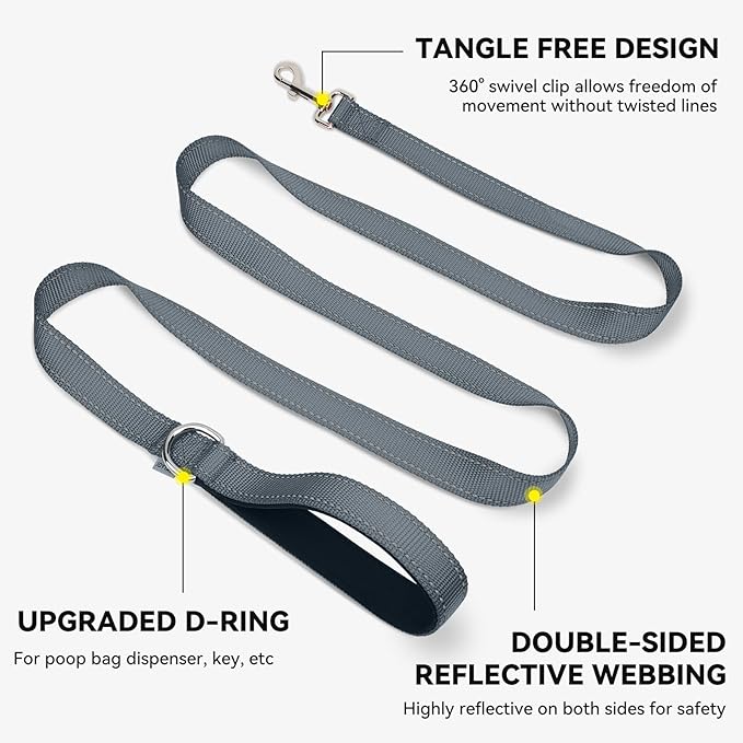 Joytale Dog Leash, 5 FT Double-Sided Reflective, Padded Handle Nylon Heavy Duty Leashes for Small Dogs Walking, Grey