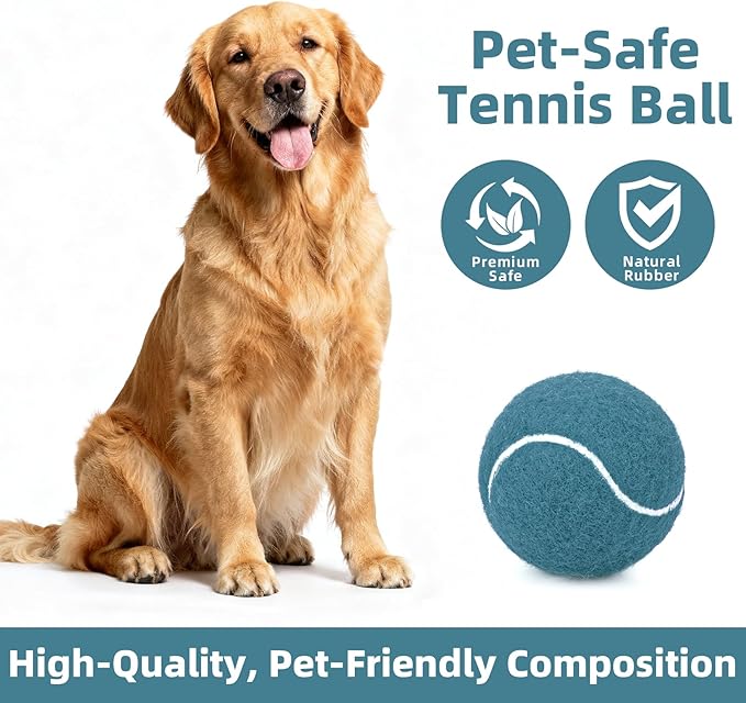 2.5" Dog Tennis Balls 6-Pack Silent Bounce, Tough Rubber Core, Durable Fetch & Training Toys for Indoor/Outdoor Play, for Small Medium Large Dogs (Prussian Blue, 6 Pack)