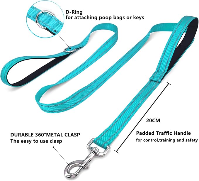 6 FT Dog Leash with 2 Padded Handle Nylon Reflective Dogs Leashes for Small Medium Large Dogs Sky Blue