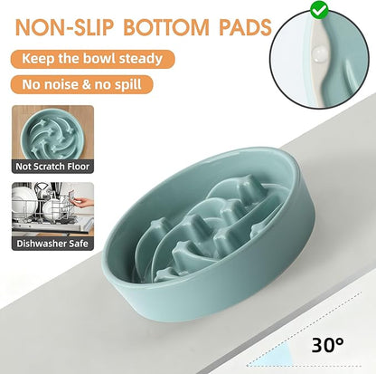 Ceramic Slow Feeder Dog Bowls Large Breed, 2 Cups Slow Eating Dog Bowl, Anti-Gulping Pet Food Bowl Reduce Choking, Heavy Puzzle Maze Design Pet Dishes for Fast Eaters, 8.3 inch - Light Green