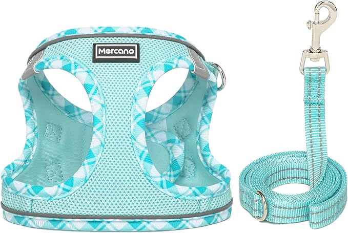 Mercano Soft Mesh Dog Harness and Leash Set, No-Chock Step-in Reflective Breathable Lightweight Easy Walk Vest Harnesses with Safety Buckle for Small Dogs, Cats (Light Blue, M)