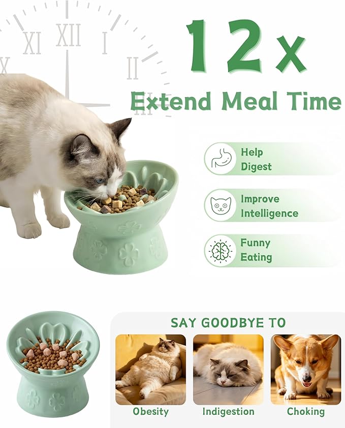TRUVIC Ceramic Slow Feeder Cat Bowl, 15° Tilted Elevated Cat Slow Eating Bowl for Neck Protection, Anti Vomiting Dog Slow Feeder, Whisker Friendly & No Black Chin for Cats and Small Dogs, Green