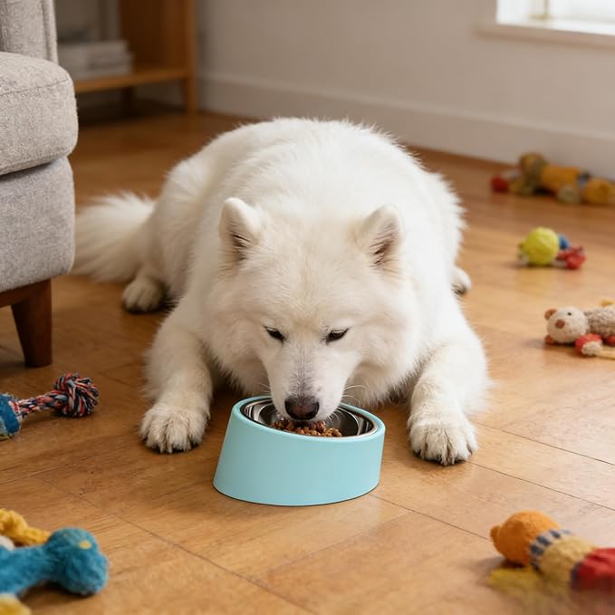 Slow Water Bowl for Dogs - Large Size Blue, 15 Degree Tilted Raised Pet Food Dish, Anti-Gulping Slow Feeder Water Bowl for Dogs