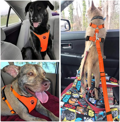 Lukovee Dog Seat Belt for Car, Adjustable Dog Car Harness for Large Medium Small Dogs, Soft Padded & Breathable Mesh Dog Seatbelt with Car Strap and Carabiner (Orange,M)