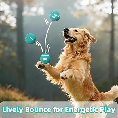 2.5" Dog Tennis Balls 6-Pack Silent Bounce, Tough Rubber Core, Durable Fetch & Training Toys for Indoor/Outdoor Play, for Small Medium Large Dogs (MARRS Green, 6 Pack)