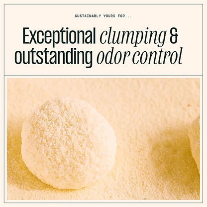 Sustainably Yours Natural Cat Litter, Small-Grain Formula, Exceptional Clumping & Odor Control, Virtually No Dust, Soft on Paws, Corn & Cassava Plant-Based, Unscented, 10 lbs