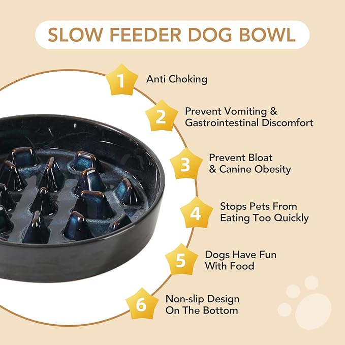 Ceramic 3.2 Cup Dog Bowl Slow Feeder, 9.5 inch Slow Pet Food Dish for Large Dog, Stop Bloat, Preventing Choking(Single Bowl, Starry Sky)