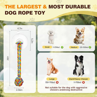 Interactive Dog Toys Tug of War, Dog Enrichment Toys, Durable Rope & Chew Ball, Dog Toys to Keep Them Busy, Indoor Toys for Small Dogs，Rainbow