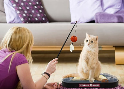 Aggies REVERSIBLE Basketball Court Cat Scratcher with Interactive Cat Ball - 6-in-1 CAT TOY Wand, CatNip Plush Basketball