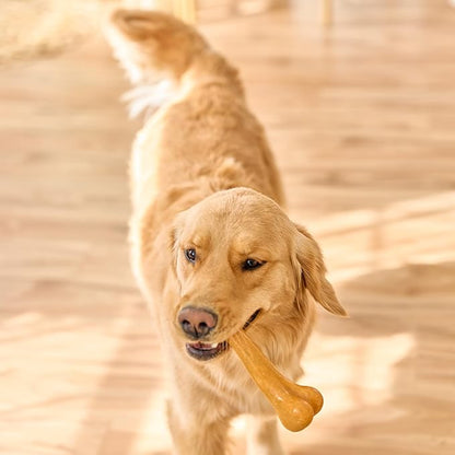 SPOT Bam-Bones Plus Dino Bone - Bamboo Fiber & Nylon, Durable Long Lasting Dog Chew for Aggressive Chewers – Great Toy for Dogs Under 90lbs, Non-Splintering, 7.25in Peanut Butter Flavor Allergen Free