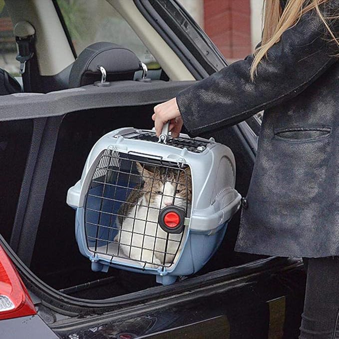 Ferplast Atlas Deluxe 10 Open Cat and Dog Carrier, 34 x 50.7 x 30 cm, Blue
