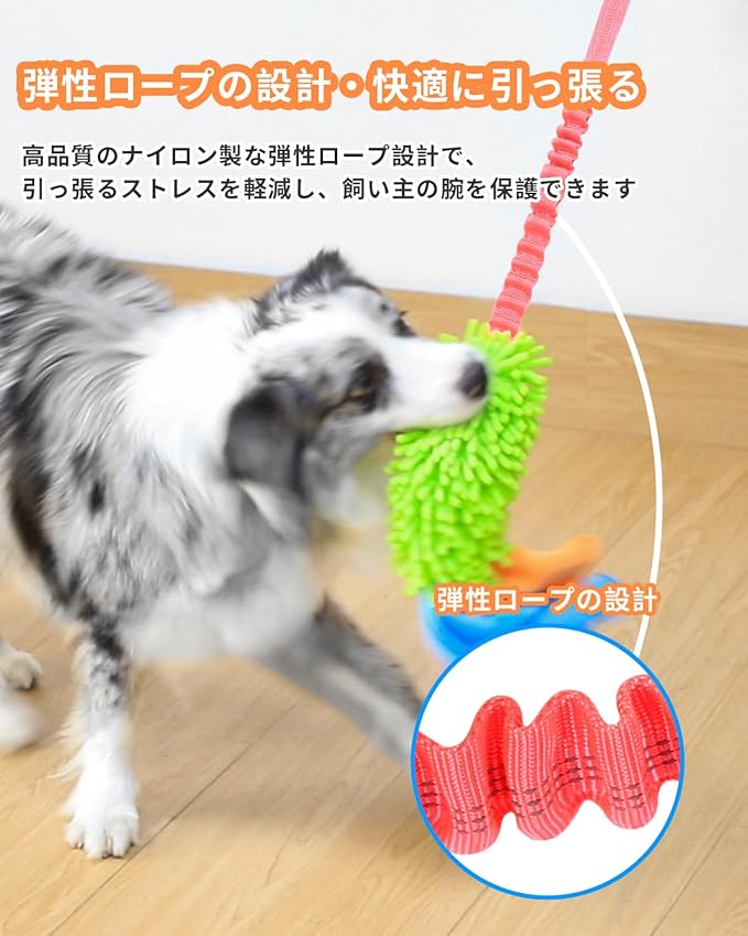 SCHITEC Dog Tug Toy, [2 Pack] Interactive Play Training Bungee Rope, Squeaky Tug of War Exercise Pull Toys for Puppy Small Medium Large Dogs